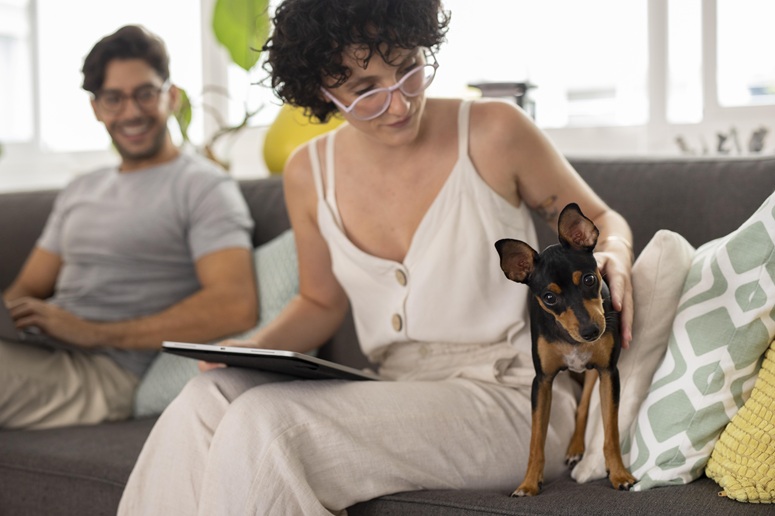 Dividing Pets in Michigan Divorce Cases